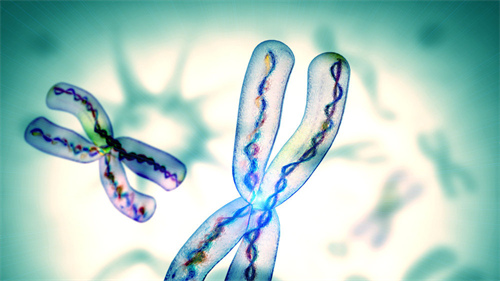 避開(kāi)這5大誤區(qū)，你的供卵試管成功率能提升30%！